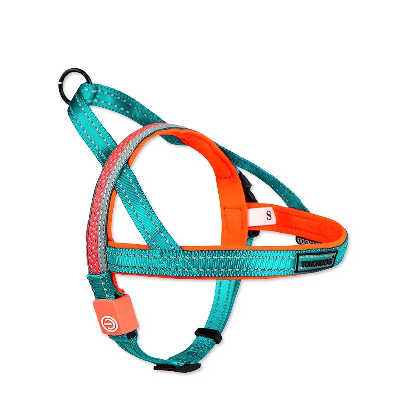 LED dog leash - Image 4