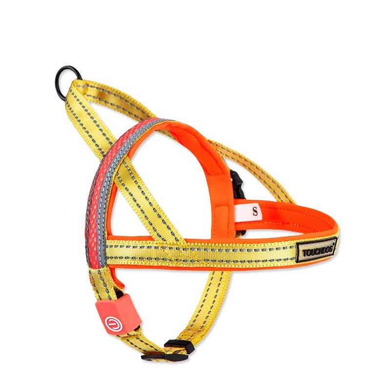LED dog leash - Image 5