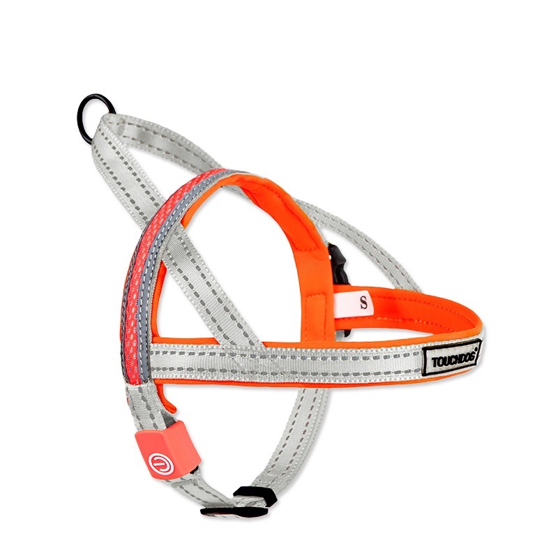 LED dog leash - Image 3
