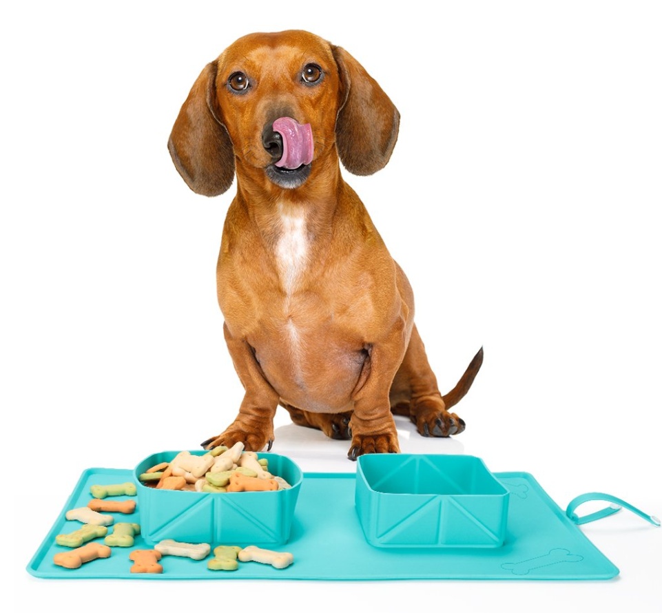 Dogs Puppy Bowls Silicone Bowls - Image 6