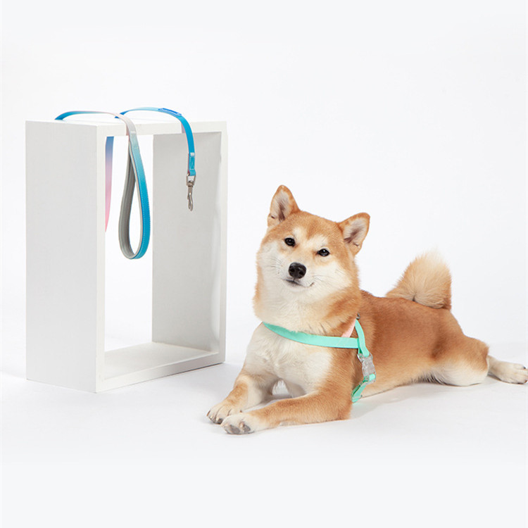 Pet PVC jelly gradient traction rope - Image 2