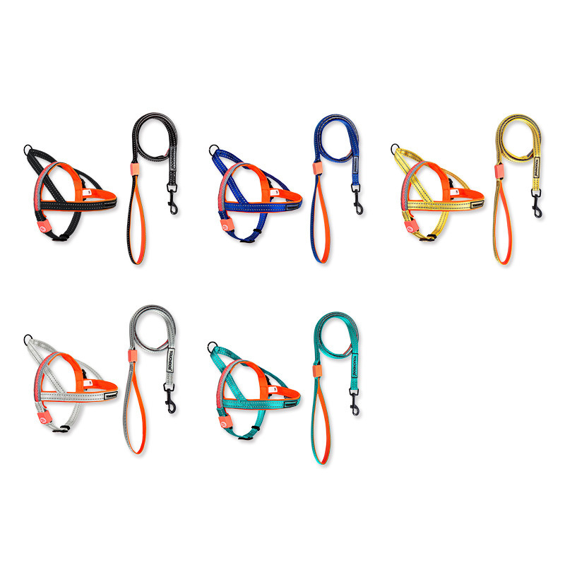 LED dog leash - Image 2
