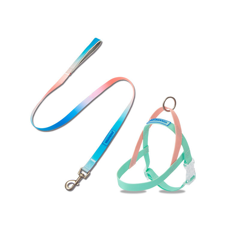 Pet PVC jelly gradient traction rope - Image 5