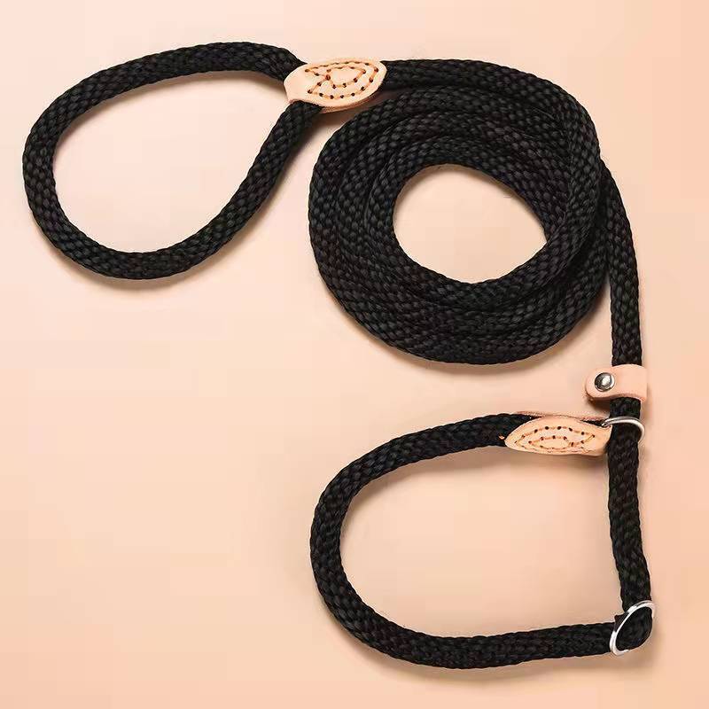 Traction Collar Integrated Training Dog Leash - Image 7