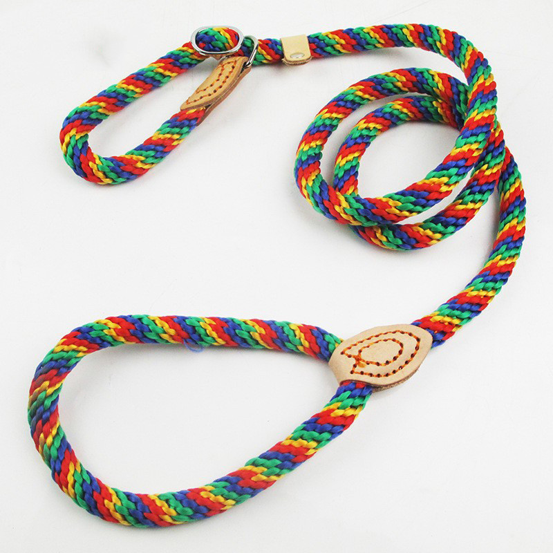 Traction Collar Integrated Training Dog Leash - Image 4