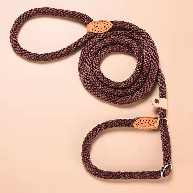 Traction Collar Integrated Training Dog Leash - Image 3