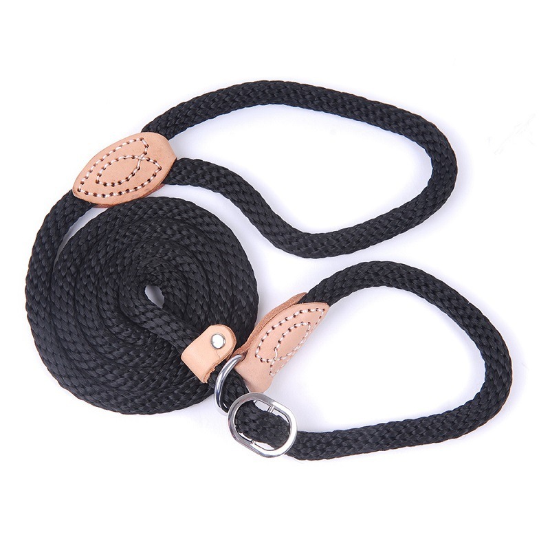 Traction Collar Integrated Training Dog Leash - Image 5