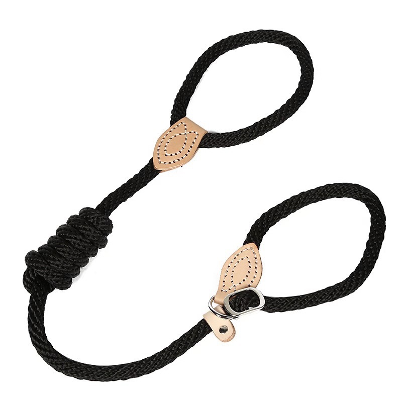 Traction Collar Integrated Training Dog Leash - Image 6
