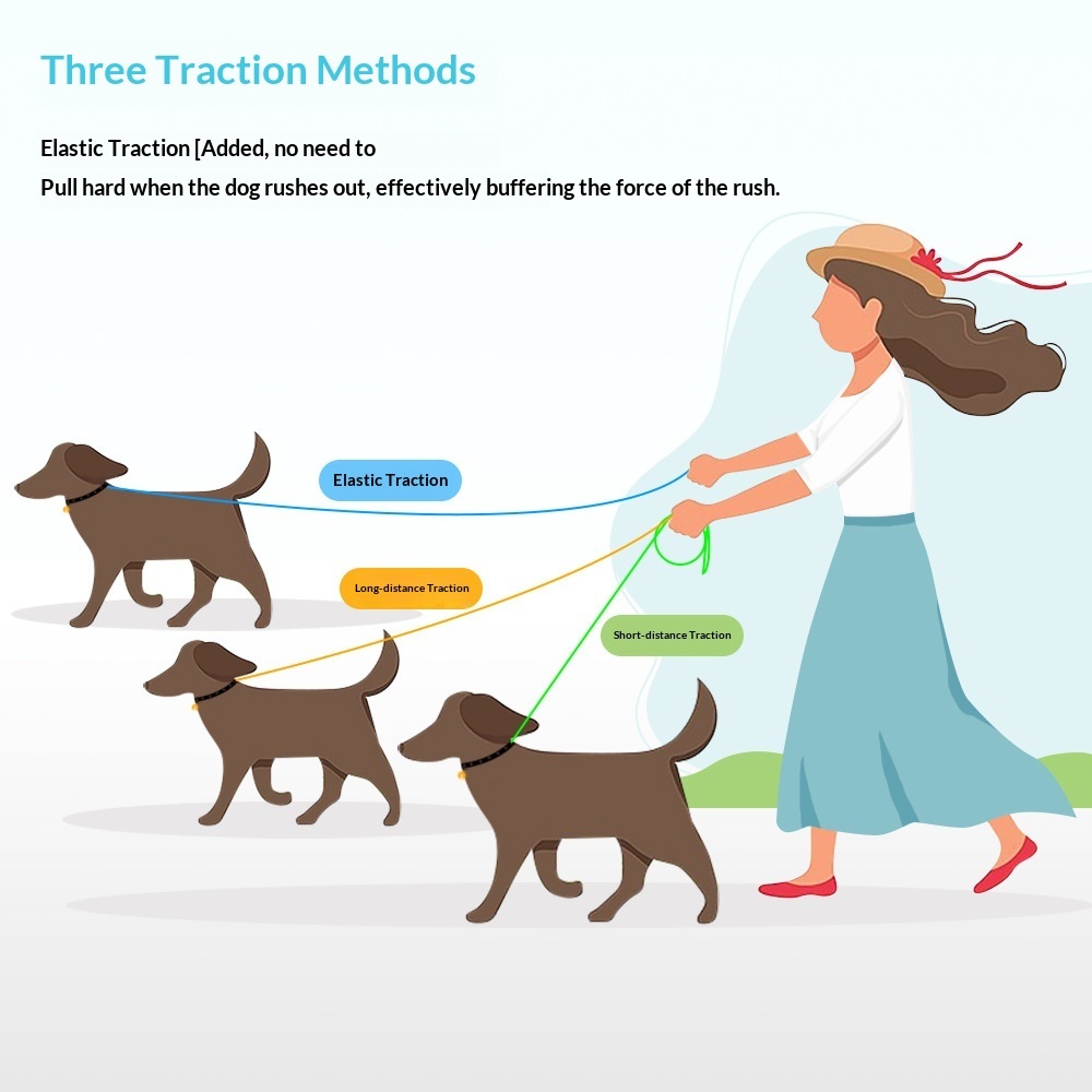Dog Leash Anti-Burst Reflective Outdoor - Image 4