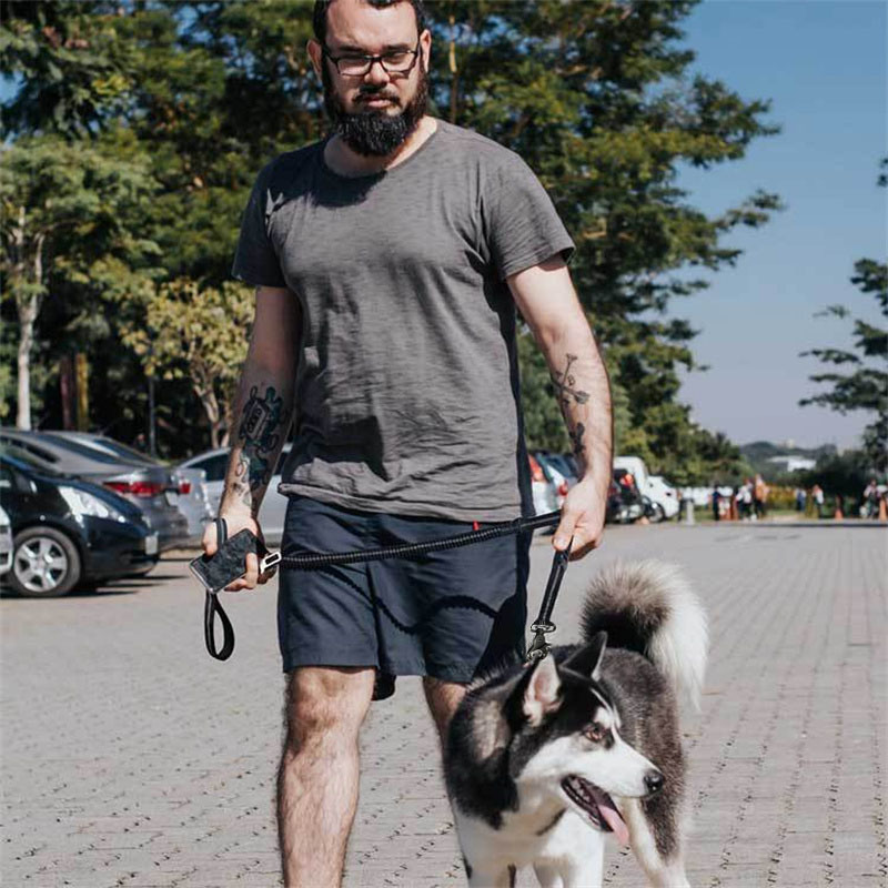 Dog Leash, Dog Leash For Large Dogs, Multifunctional Dog Leashes For Medium Dogs, Adjustable Dog Leash With Car Seatbelt, 4-6 FT Strong Bungee Dog Leash - Image 2
