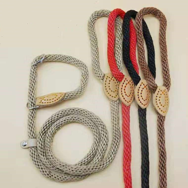 Traction Collar Integrated Training Dog Leash - Image 2