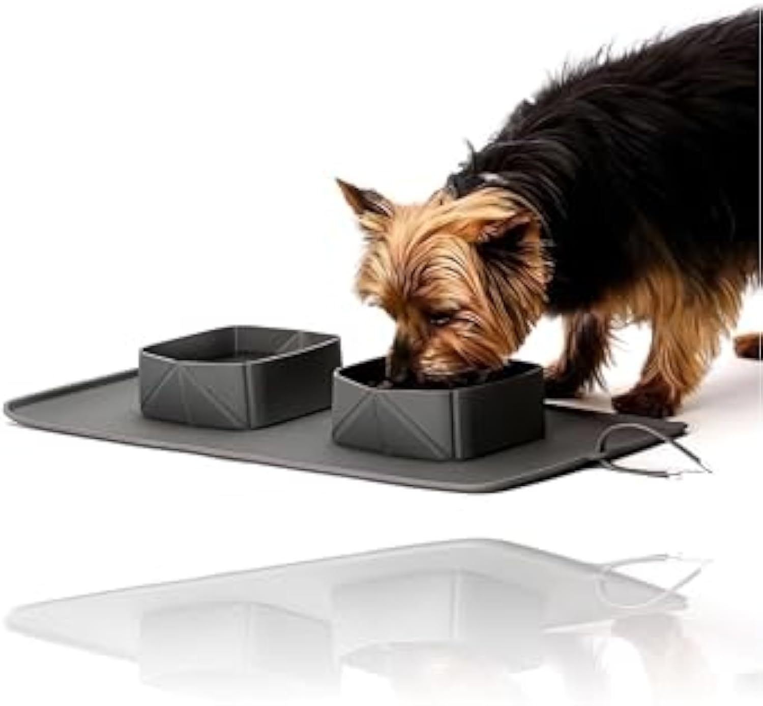 Generic Portable Pet Feeder Silicone Bowls For Dog And Cat Travel Collapsible Dish For Food And Water - Image 3